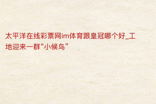 太平洋在线彩票网im体育跟皇冠哪个好_工地迎来一群“小候鸟”