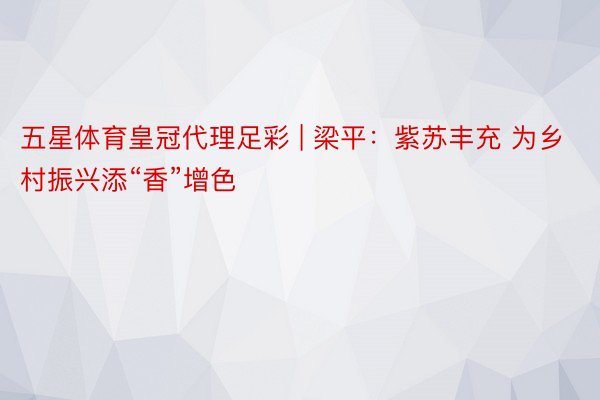 五星体育皇冠代理足彩 | 梁平：紫苏丰充 为乡村振兴添“香”增色
