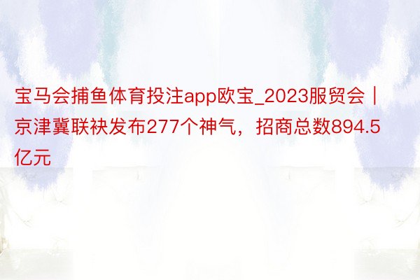 宝马会捕鱼体育投注app欧宝_2023服贸会｜京津冀联袂发布277个神气，招商总数894.5亿元