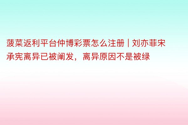 菠菜返利平台仲博彩票怎么注册 | 刘亦菲宋承宪离异已被阐发，离异原因不是被绿